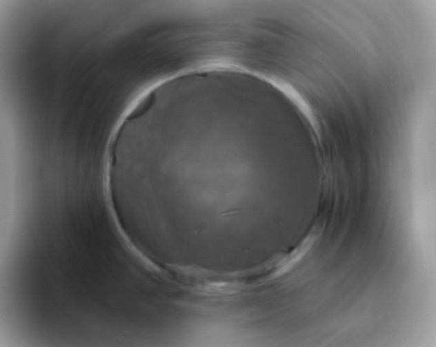 X0000094211390200711091229