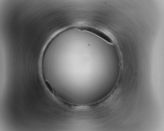 X0000094211392200711091229