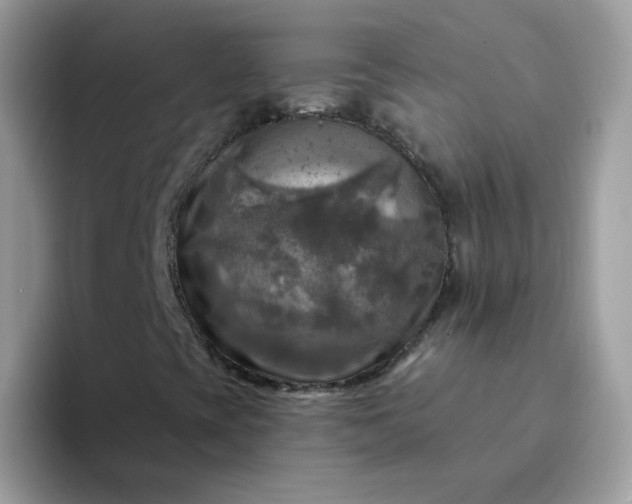 X0000094211393200711091229