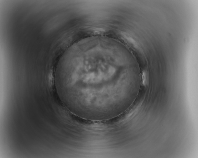 X0000094211395200711091229