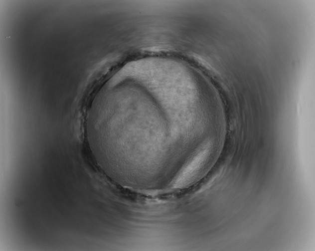 X0000094211398200711091229