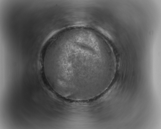 X0000094211400200711091229