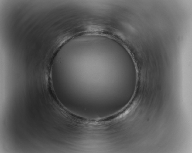 X0000094211401200711091229
