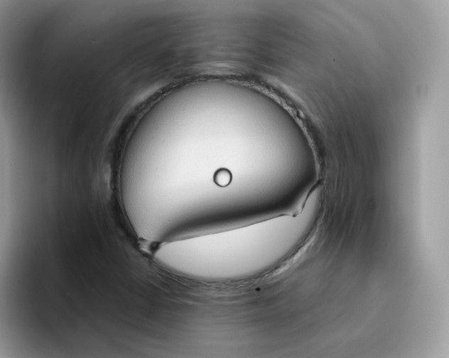 X0000094211402200711091229