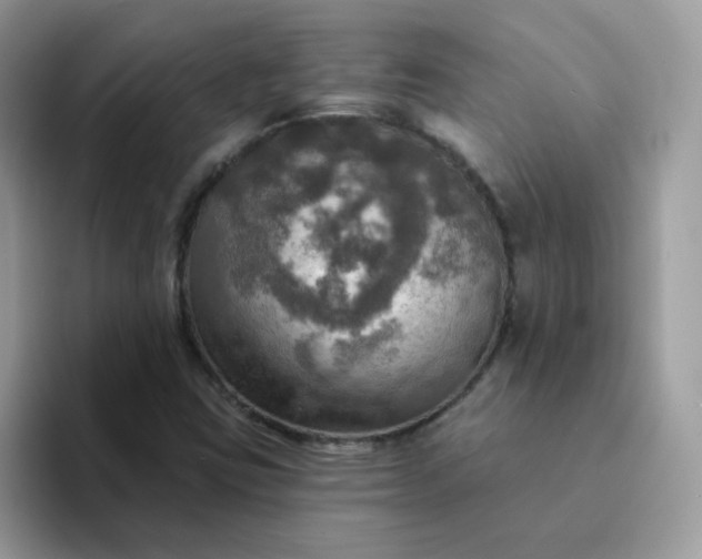 X0000094211403200711091229