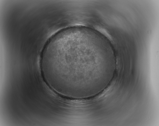 X0000094211404200711091229