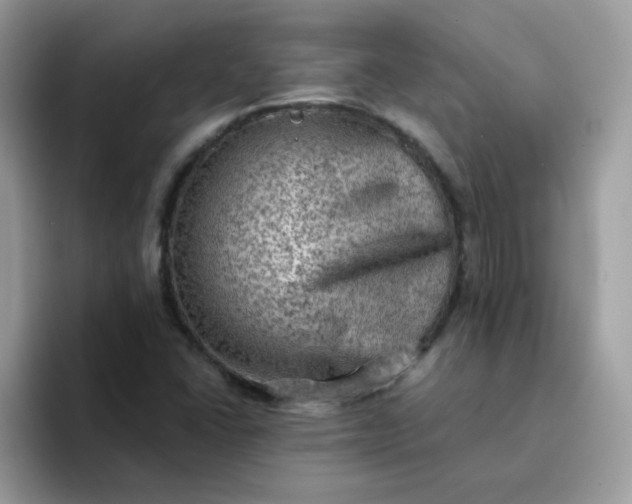 X0000094211406200711091229