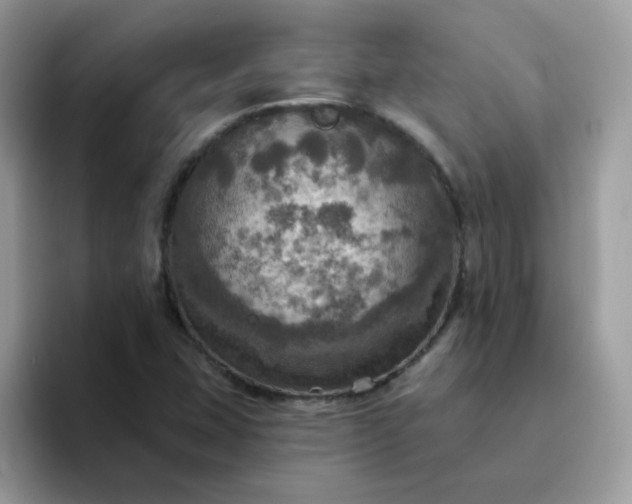X0000094211407200711091229