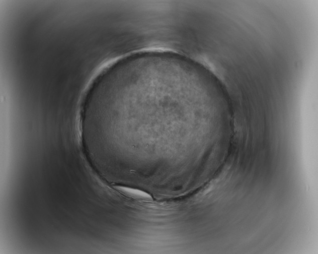 X0000094211408200711091229