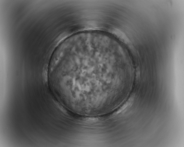 X0000094211409200711091229