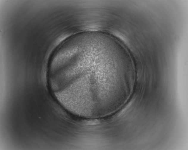 X0000094211410200711091229