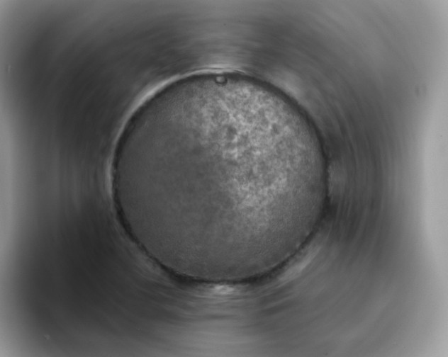 X0000094211412200711091229