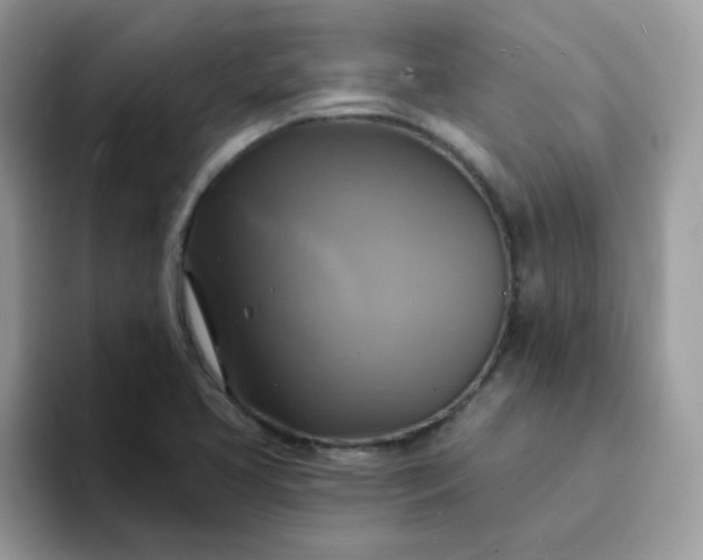 X0000094211413200711091229