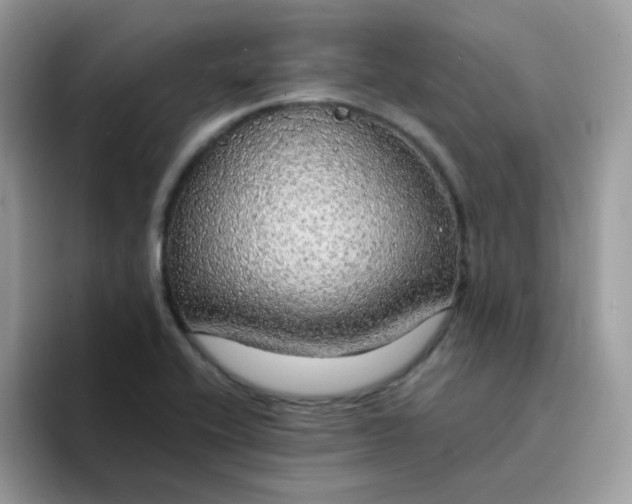 X0000094211416200711091229