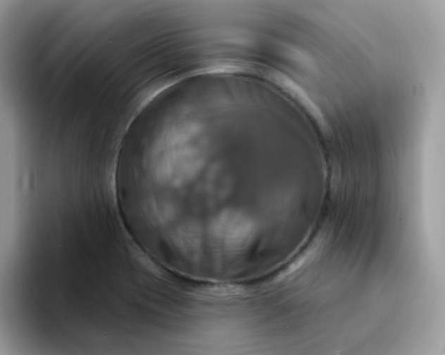 X0000094211417200711091229