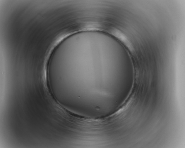 X0000094211419200711091229