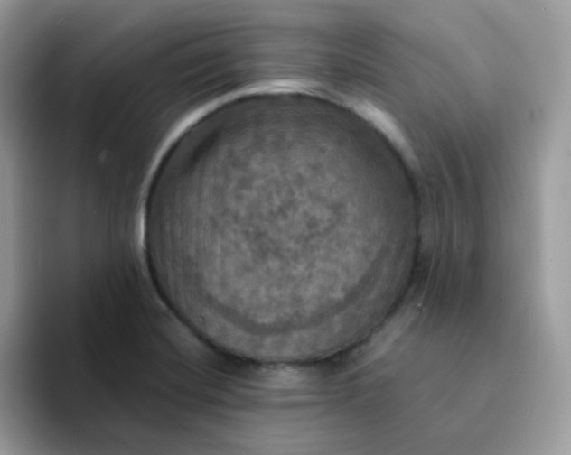 X0000094211420200711091229