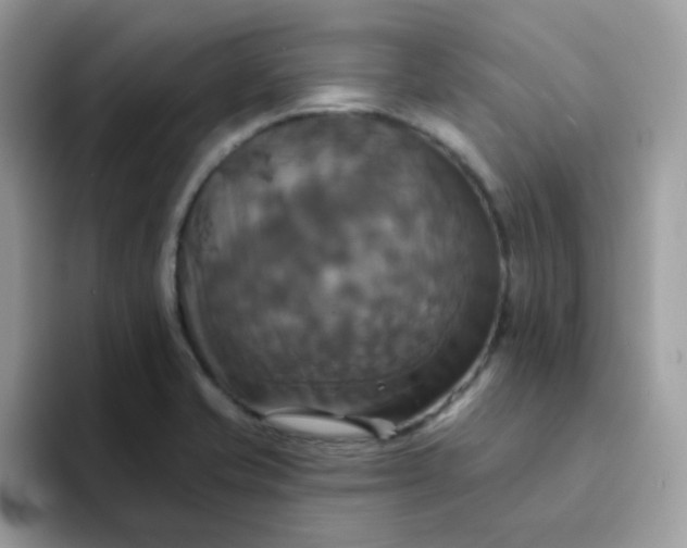 X0000094211421200711091229