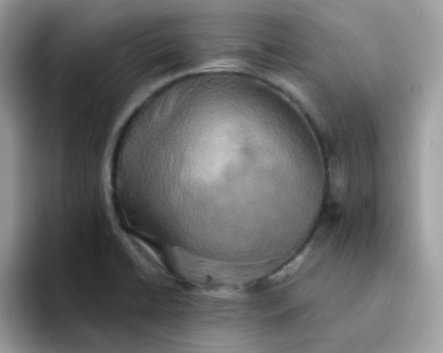 X0000094211422200711091229