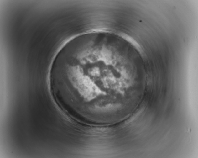 X0000094211423200711091229