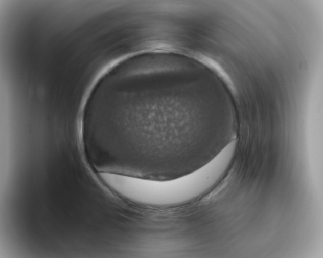 X0000094211424200711091229