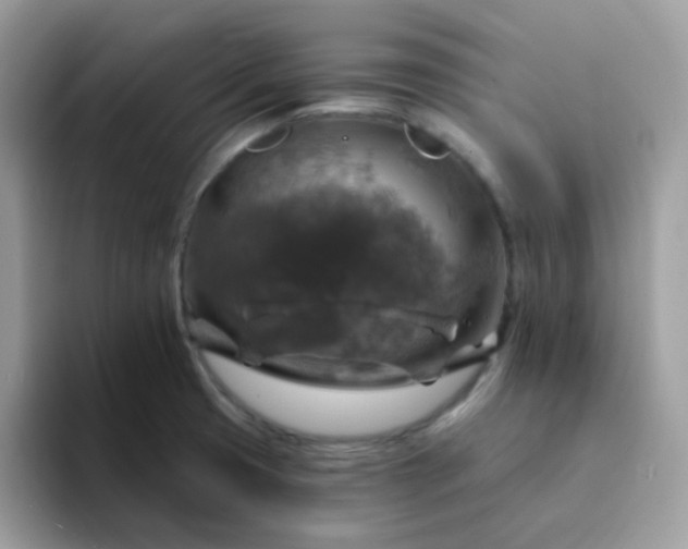 X0000094211425200711091229