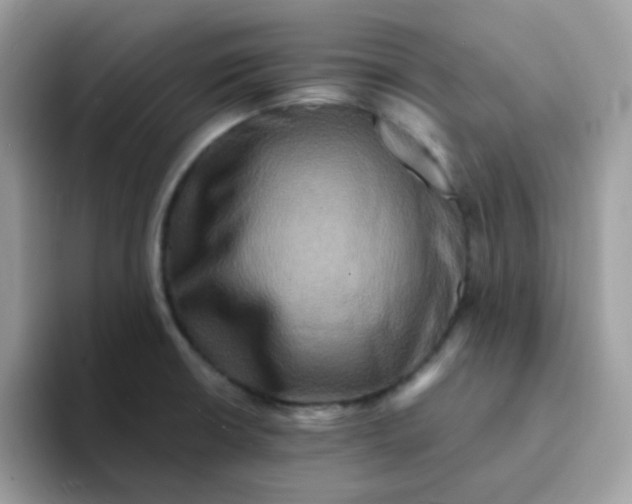 X0000094211426200711091229