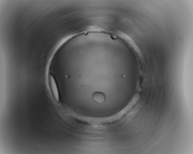 X0000094211427200711091229