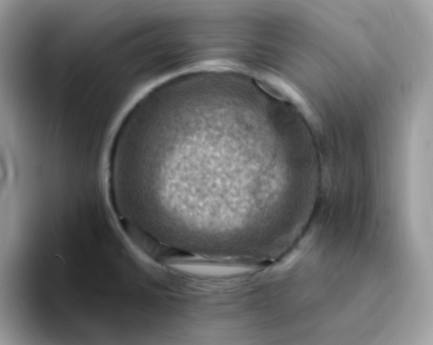 X0000094211430200711091229