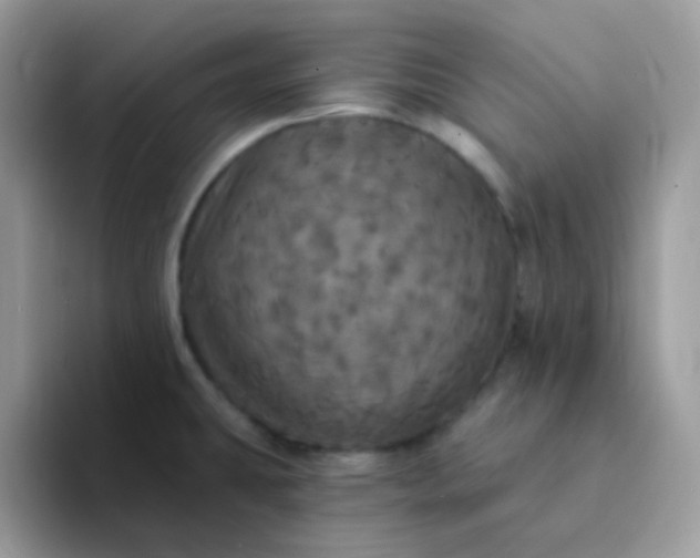 X0000094211431200711091229