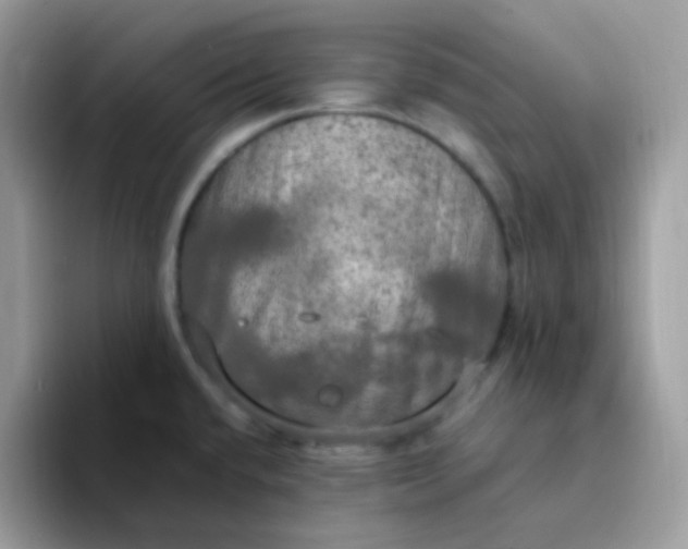 X0000094211432200711091229