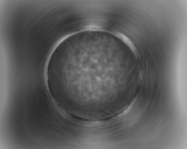 X0000094211435200711091229