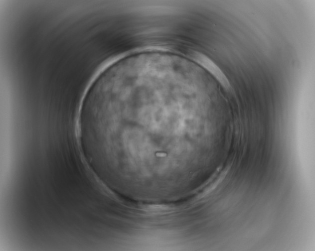 X0000094211436200711091229