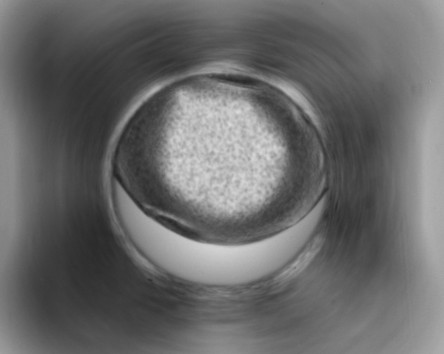 X0000094211438200711091229