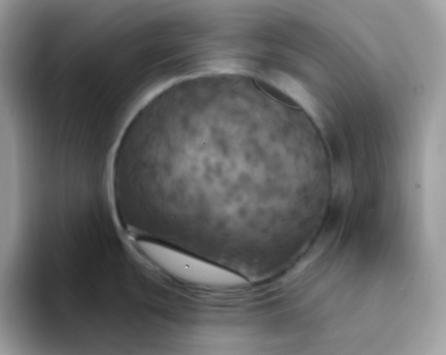 X0000094211439200711091229