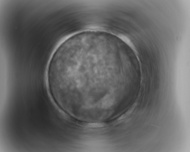 X0000094211440200711091229