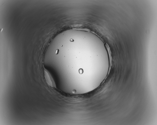X0000094211441200711091229