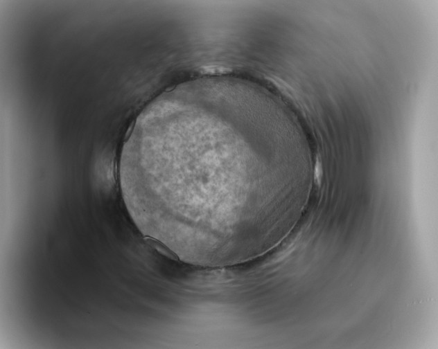 X0000094211444200711091229