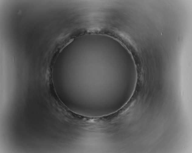 X0000094211445200711091229