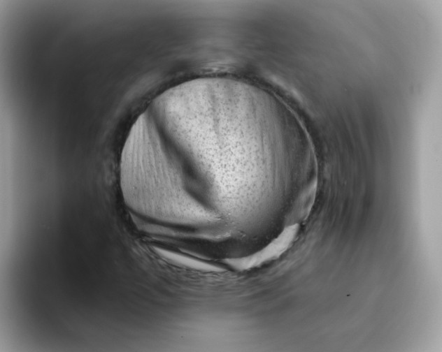 X0000094211447200711091229