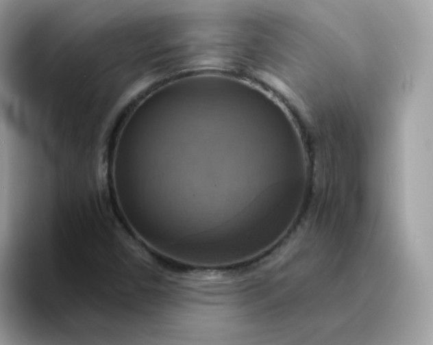 X0000094211450200711091229