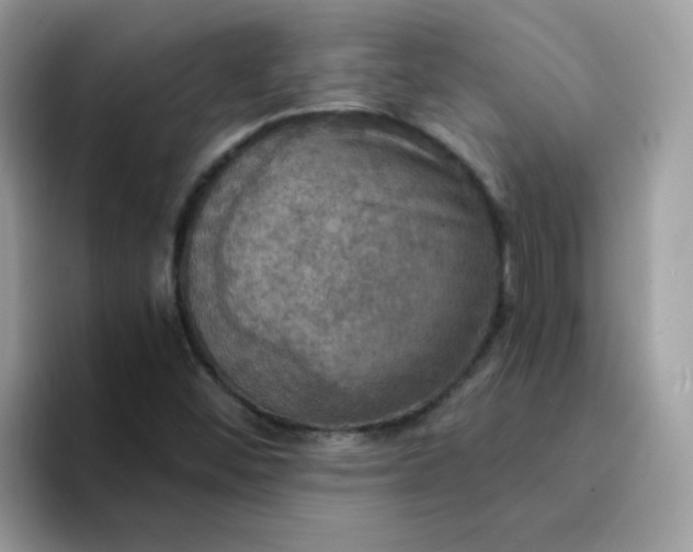 X0000094211452200711091229