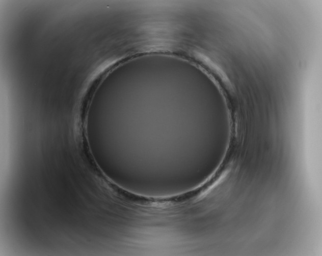 X0000094211453200711091229
