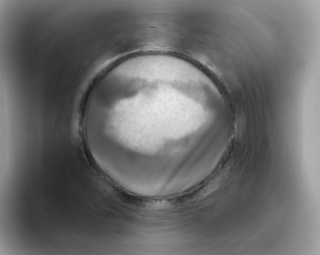 X0000094211454200711091229