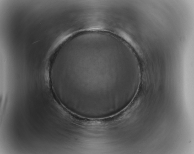 X0000094211456200711091229