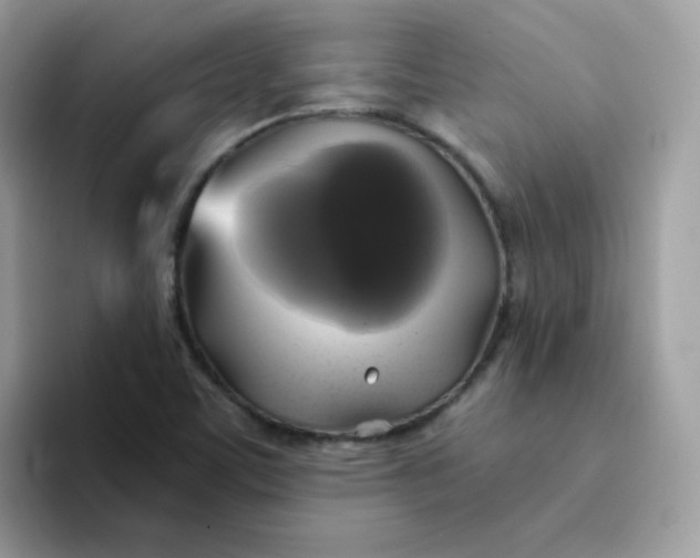 X0000094211459200711091228
