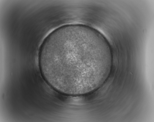 X0000094211460200711091228
