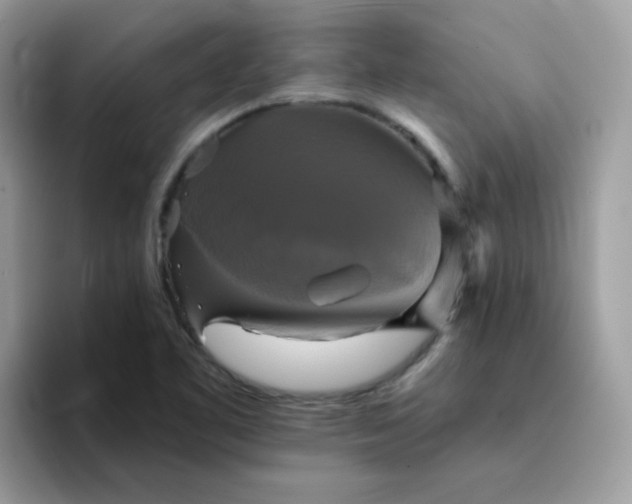 X0000094211461200711091228