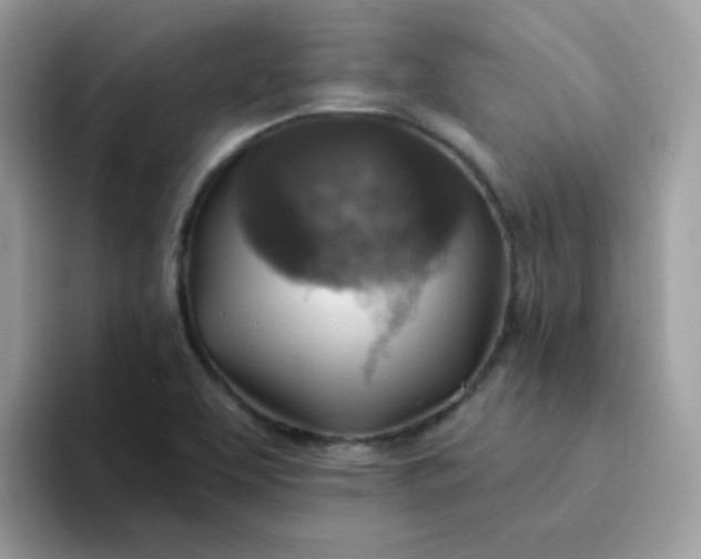 X0000094211463200711091228