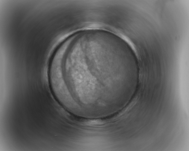 X0000094211464200711091228